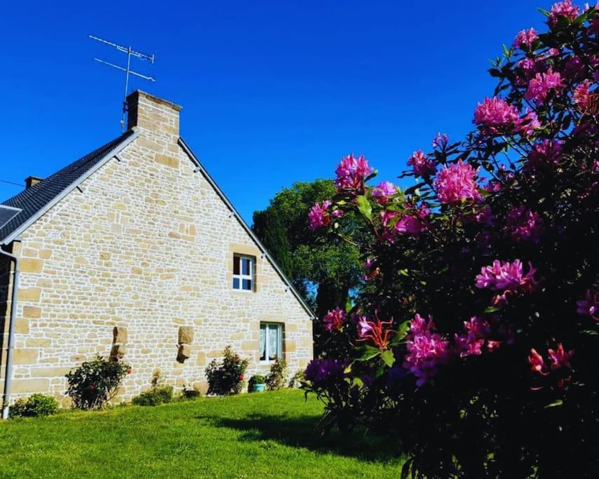Maison En Pierre Au Milieu Du Bocage Coulouvray-Boisbenâtre Exteriér fotografie